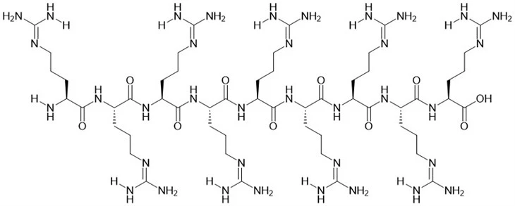 R9  Peptide