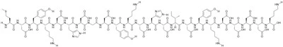3xFlag Peptide