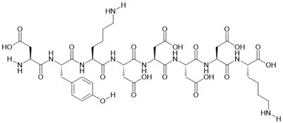 Flag Peptide