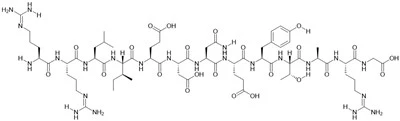 Pp60(v-SRC) Sit otofosforilasyon, Substrate Pwoteyin Tirozin Kinaz