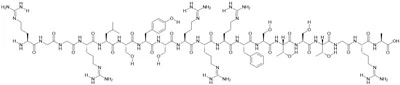 SynB1 Peptide