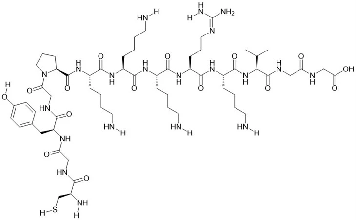 SV40 Nikleyè Transpò Siyal Peptide Analog